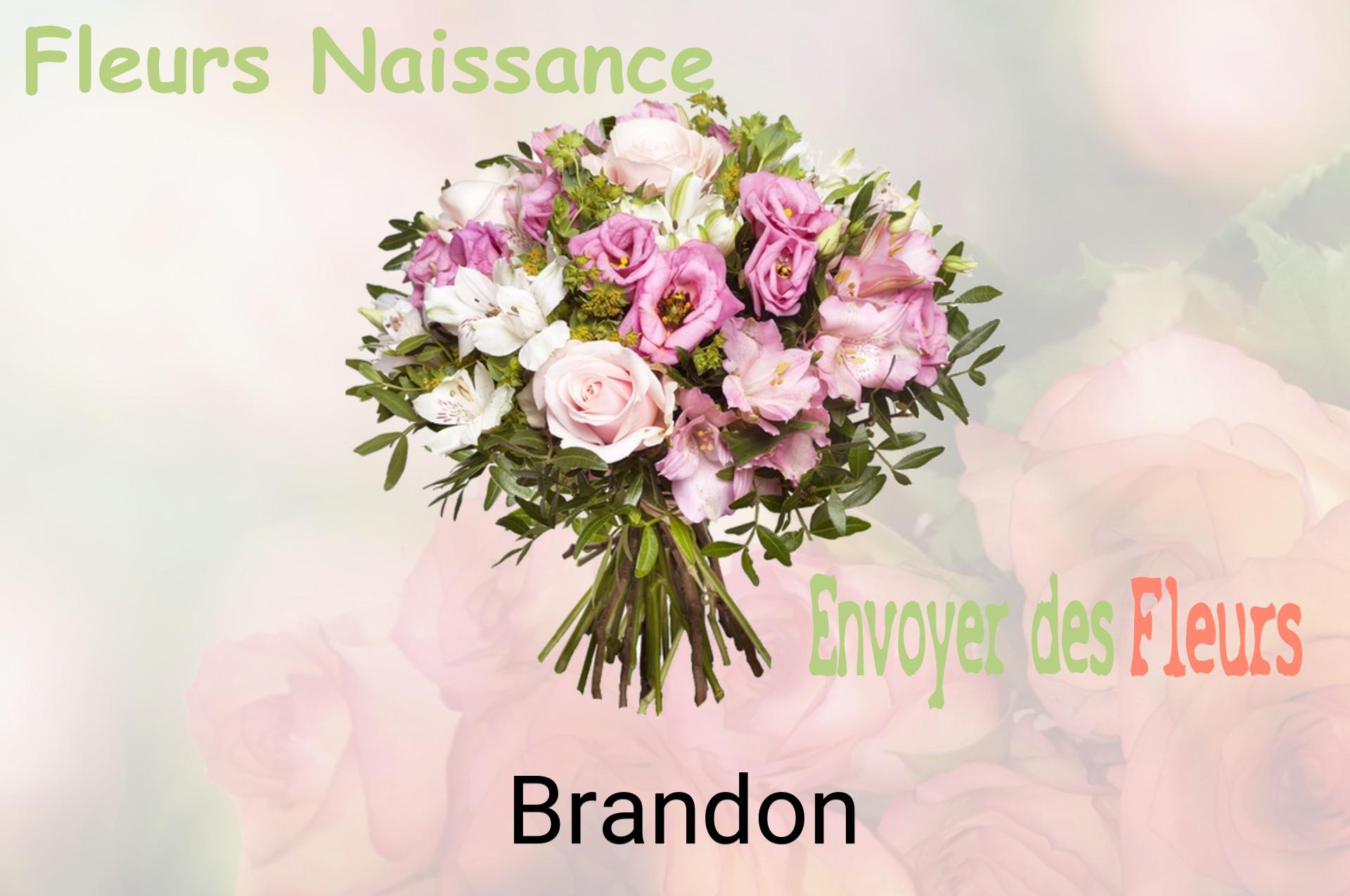 Bouquet de fleurs de naissance livré à Brandon